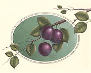 Plums Delicious